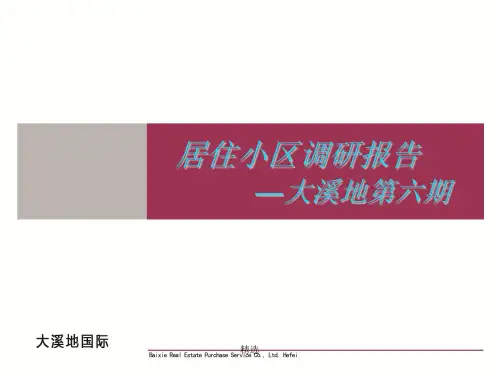 居住调研报告精选演示课件.ppt