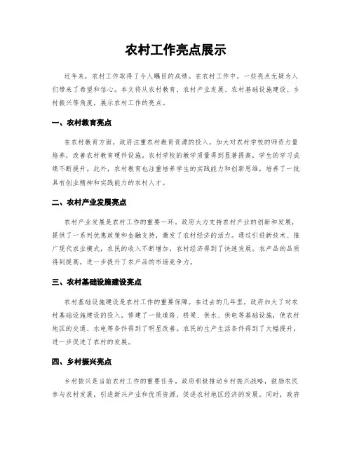 农村工作亮点展示