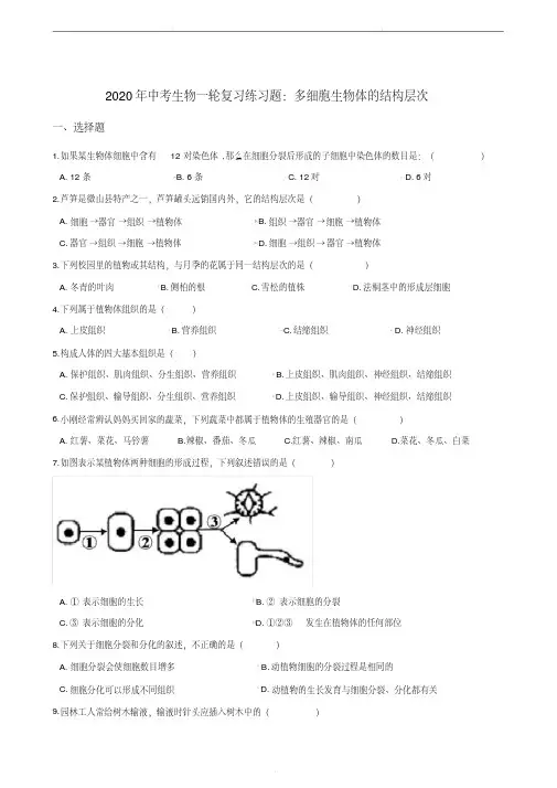 2020年中考生物一轮复习练习题：多细胞生物体的结构层次(含答案)