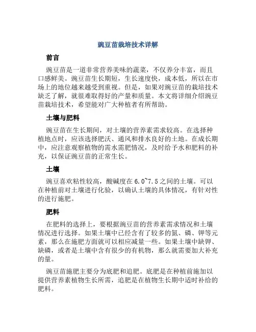 豌豆苗栽培技术