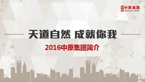 中原地产集团介绍2016版