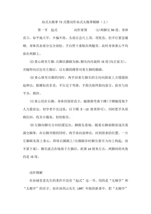 孙式太极拳73式慢动作 孙式太极拳精解(上) 