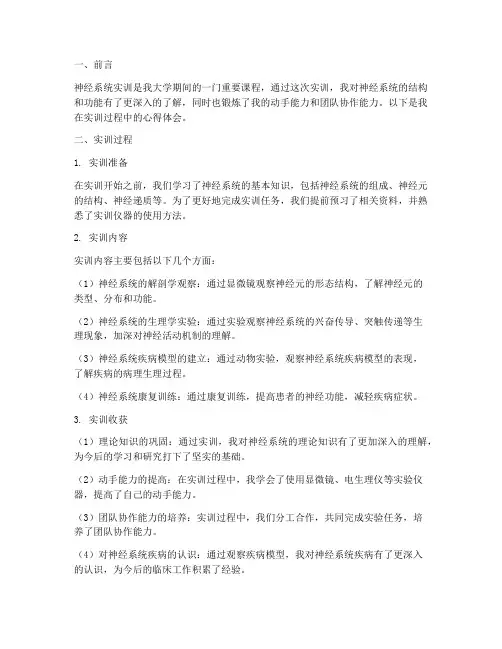神经系统实训报告心得