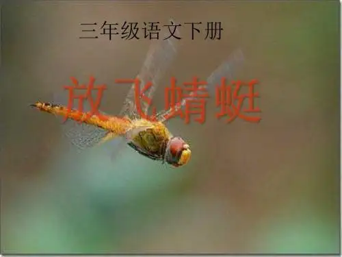苏教版小学三年级语文下册《放飞蜻蜓》ppt课件