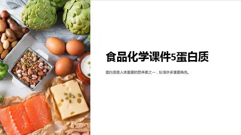 食品化学课件5蛋白质