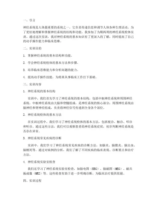 神经系统检体实训报告