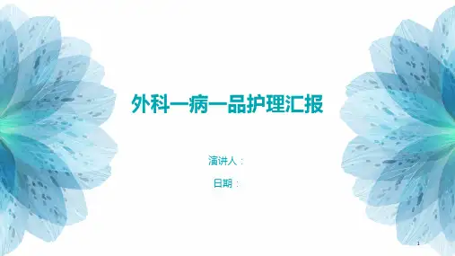 外科一病一品护理汇报