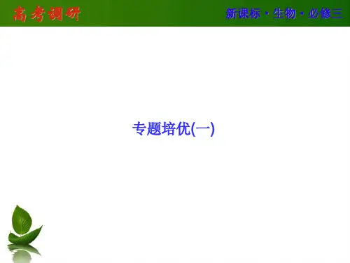 培优1(电流计指针的偏转问题)