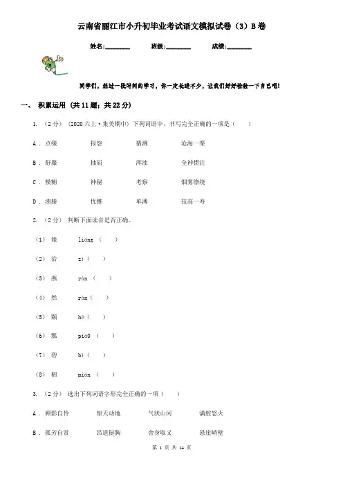 云南省丽江市小升初毕业考试语文模拟试卷(3)B卷