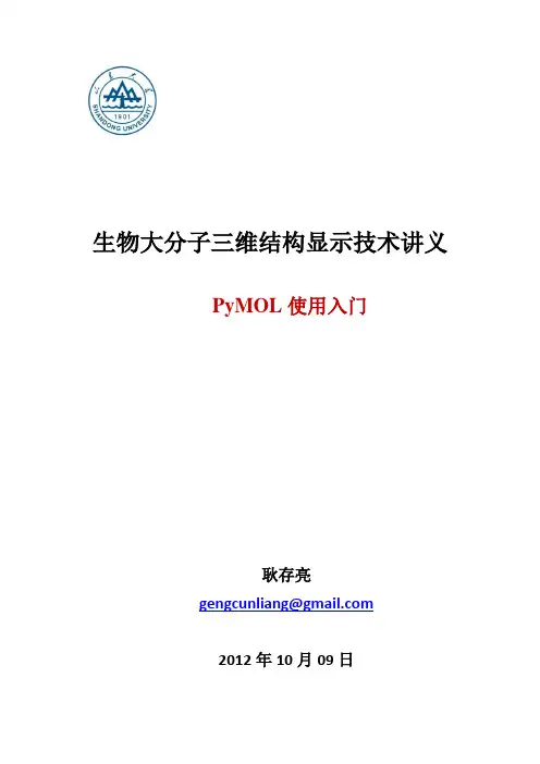 PyMOL使用入门