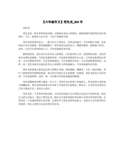 【六年级作文】变色龙_800字
