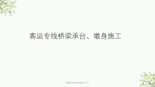桥梁承台桥台墩身施工工艺课件