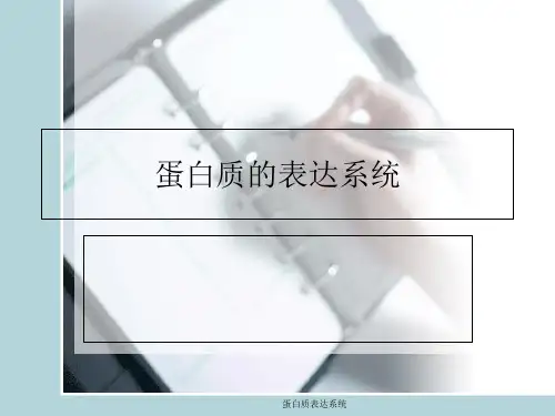 蛋白质表达系统 ppt课件