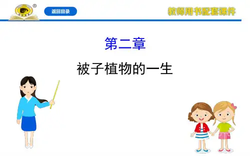 3.2被子植物的一生