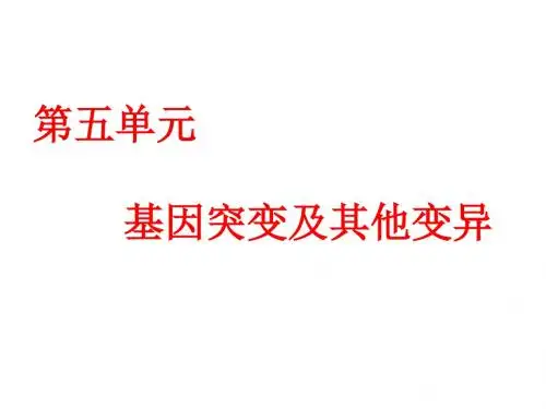 基因突变