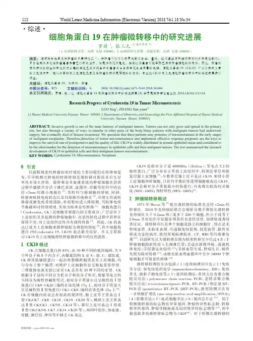细胞角蛋白19在肿瘤微转移中的研究进展