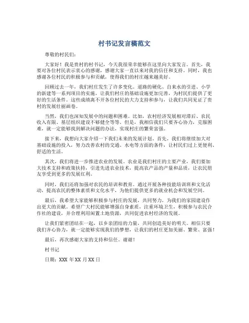 村书记发言稿范文