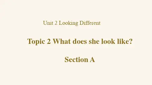 Unit2Topic2复习课件仁爱版英语七年级上册