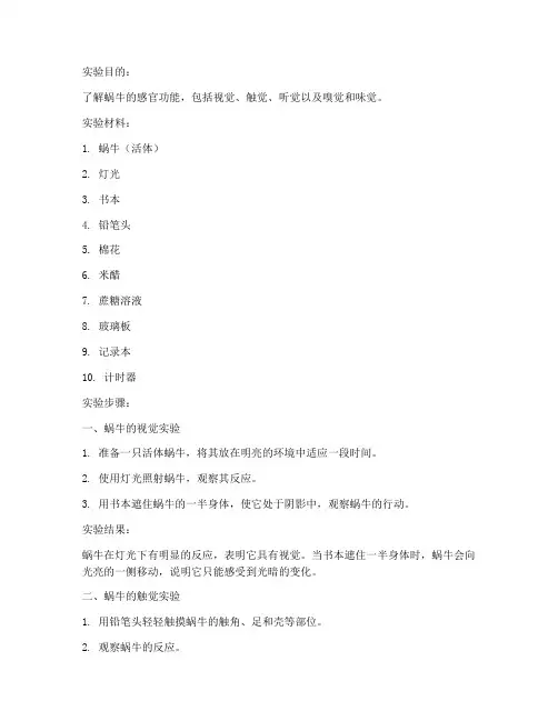 儿童关于蜗牛的实验报告