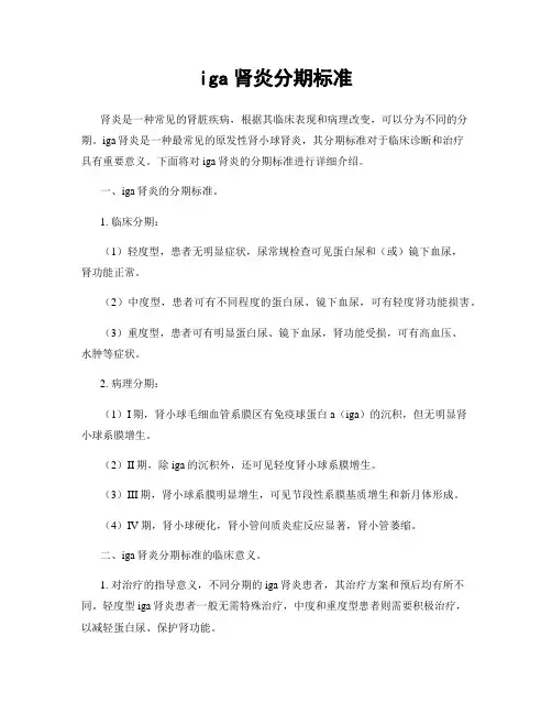 iga肾炎分期标准