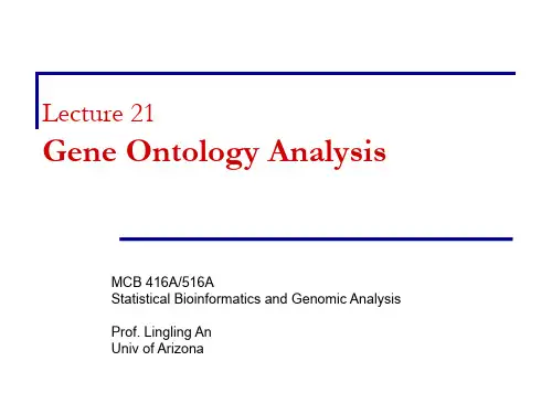 GeneOntologyAnalysis：基因本体论分析