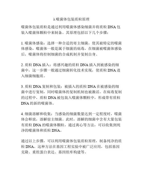 λ噬菌体包装质粒原理
