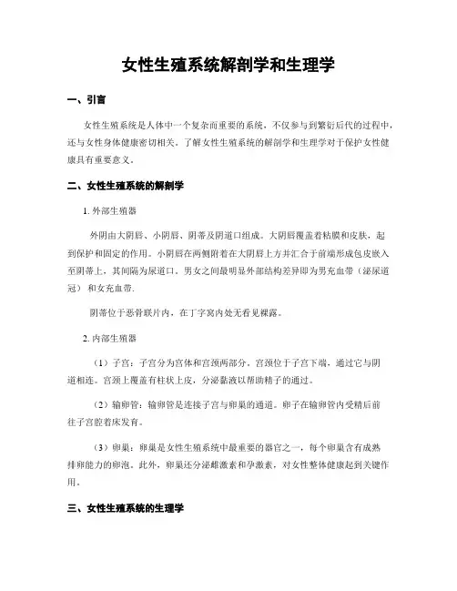 女性生殖系统解剖学和生理学