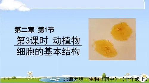 2024年新北师大版七年级上册生物 第2章 细胞 第1节第3课时 动植物细胞的基本结构