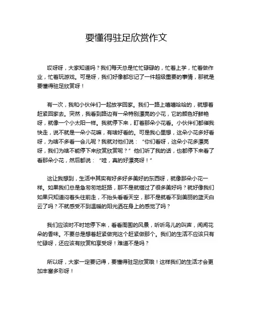 要懂得驻足欣赏作文