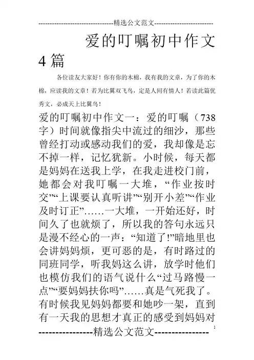 爱的叮嘱初中作文4篇
