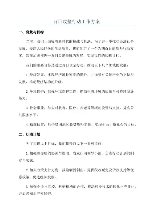 百日攻坚行动工作方案
