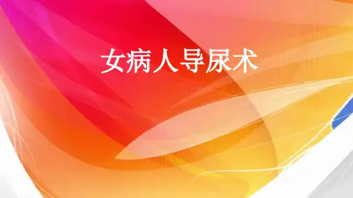 女病人导尿术