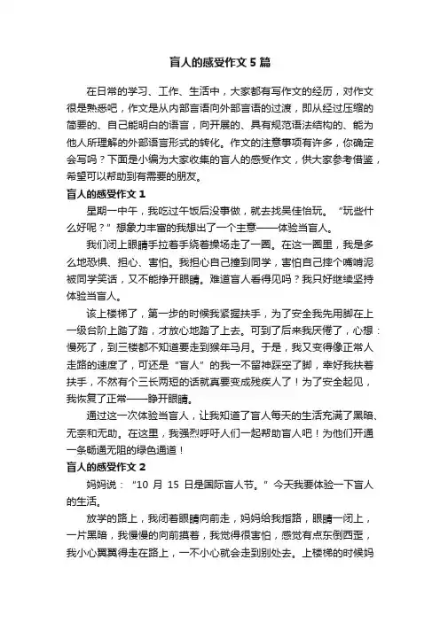 盲人的感受作文5篇