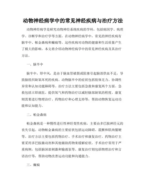 动物神经病学中的常见神经疾病与治疗方法