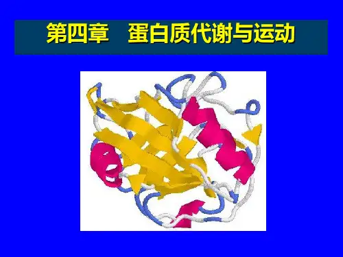 运动生物化学第四章
