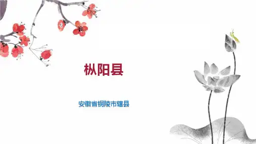 枞阳县    