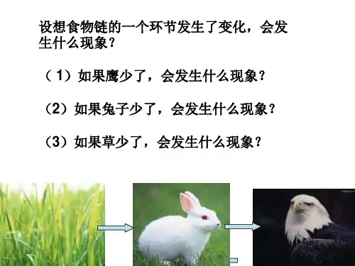 六年级下册科学课件-4.4 生态平衡(80)-苏教版