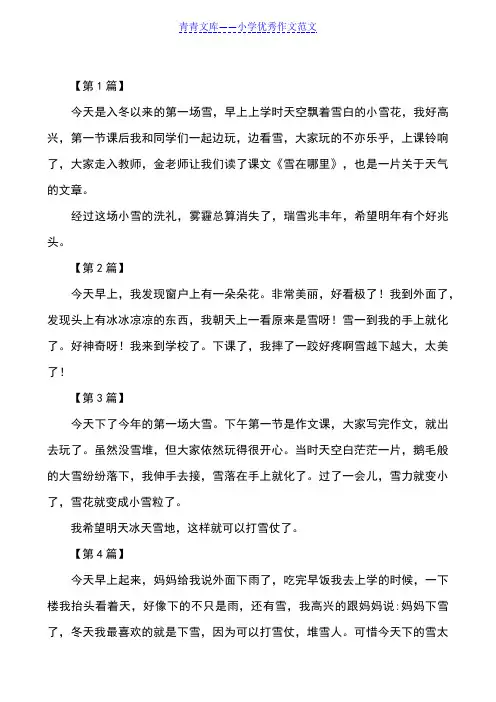 第一场雪100字【一年级作文】