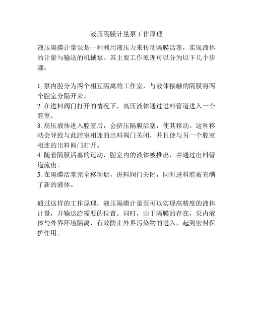 液压隔膜计量泵工作原理
