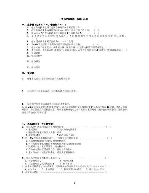 电泳技术习题