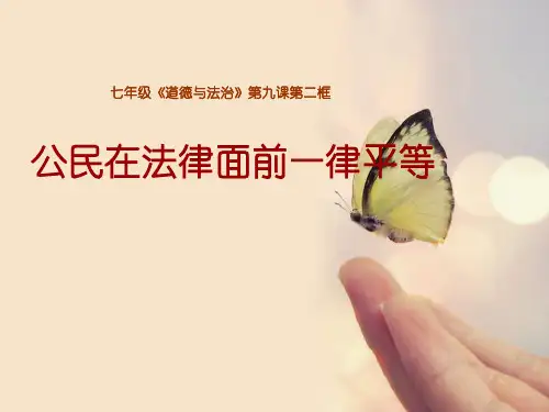 道德与法治法律面前一律平等教学文稿