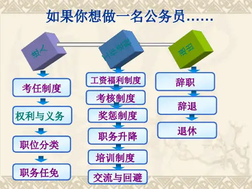 公务员制度权利义务(3)PPT课件
