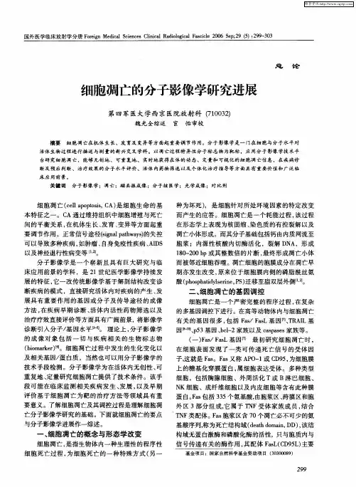 细胞凋亡的分子影像学研究进展