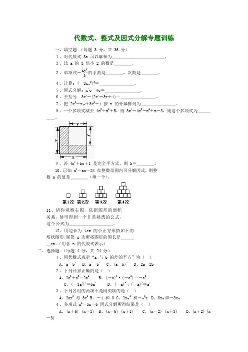 初中数学代数式专题训练【含答案】