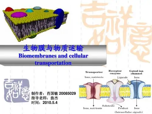 生物膜与物质运输
