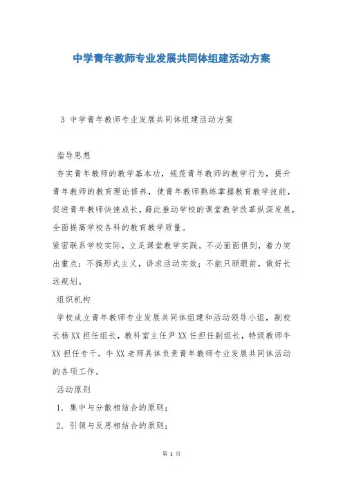 中学青年教师专业发展共同体组建活动方案