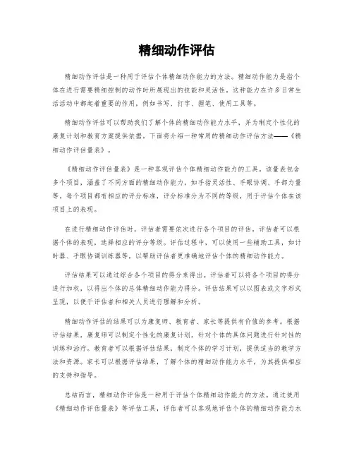 精细动作评估