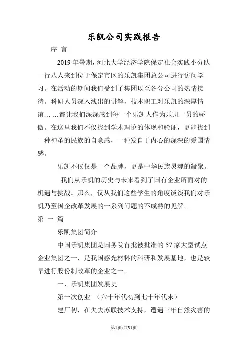 乐凯公司实践报告