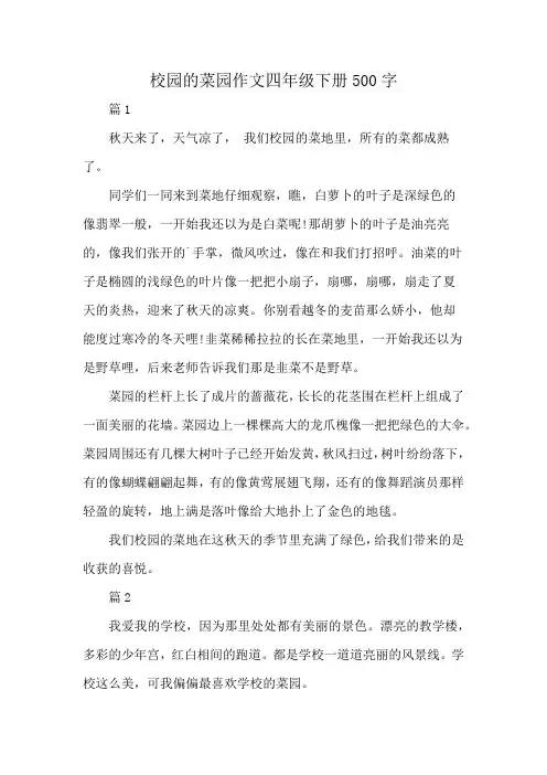 校园的菜园作文四年级下册500字