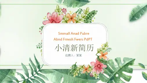 护理简历模板样本ppt